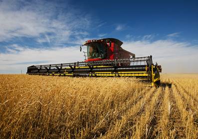 Purchasing an Agricultural Land in Poland